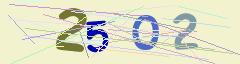 CAPTCHA validation image