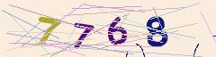 CAPTCHA validation image