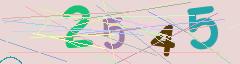 CAPTCHA validation image