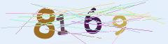 CAPTCHA validation image