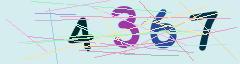 CAPTCHA validation image
