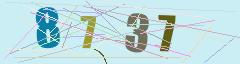 CAPTCHA validation image