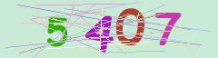 CAPTCHA validation image