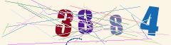 CAPTCHA validation image