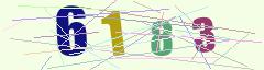 CAPTCHA validation image