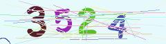 CAPTCHA validation image