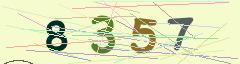 CAPTCHA validation image