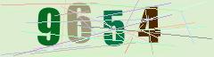 CAPTCHA validation image