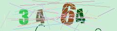 CAPTCHA validation image