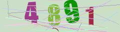 CAPTCHA validation image