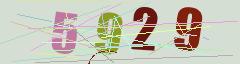 CAPTCHA validation image