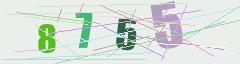 CAPTCHA validation image
