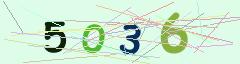 CAPTCHA validation image