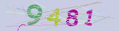 CAPTCHA validation image