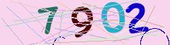 CAPTCHA validation image
