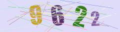 CAPTCHA validation image