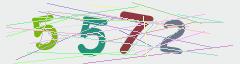 CAPTCHA validation image