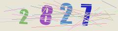 CAPTCHA validation image