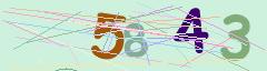 CAPTCHA validation image
