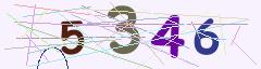 CAPTCHA validation image