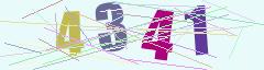 CAPTCHA validation image