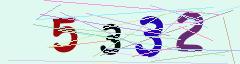 CAPTCHA validation image