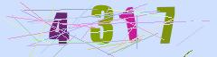 CAPTCHA validation image