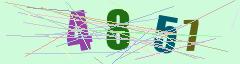 CAPTCHA validation image