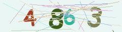 CAPTCHA validation image