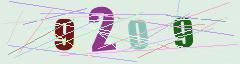 CAPTCHA validation image