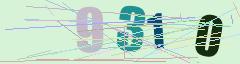 CAPTCHA validation image