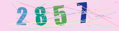 CAPTCHA validation image