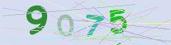 CAPTCHA validation image