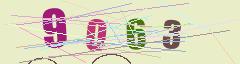 CAPTCHA validation image