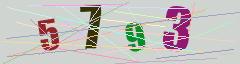 CAPTCHA validation image