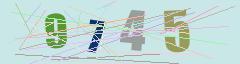 CAPTCHA validation image