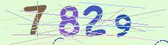 CAPTCHA validation image