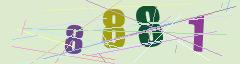CAPTCHA validation image