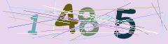 CAPTCHA validation image