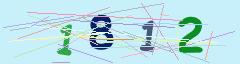 CAPTCHA validation image