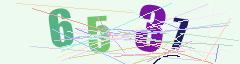CAPTCHA validation image