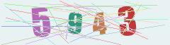 CAPTCHA validation image
