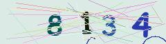 CAPTCHA validation image