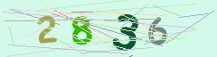 CAPTCHA validation image