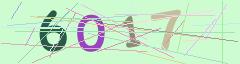 CAPTCHA validation image