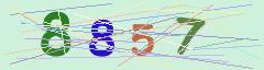 CAPTCHA validation image