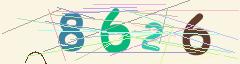 CAPTCHA validation image
