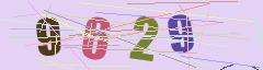 CAPTCHA validation image
