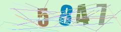 CAPTCHA validation image