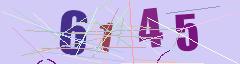 CAPTCHA validation image